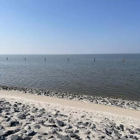 Muschelweg.2